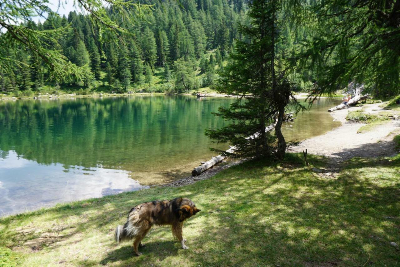 Historic Guesthouse Bircher B&B Apartments Near Sterzing Campo di Trens Exterior foto